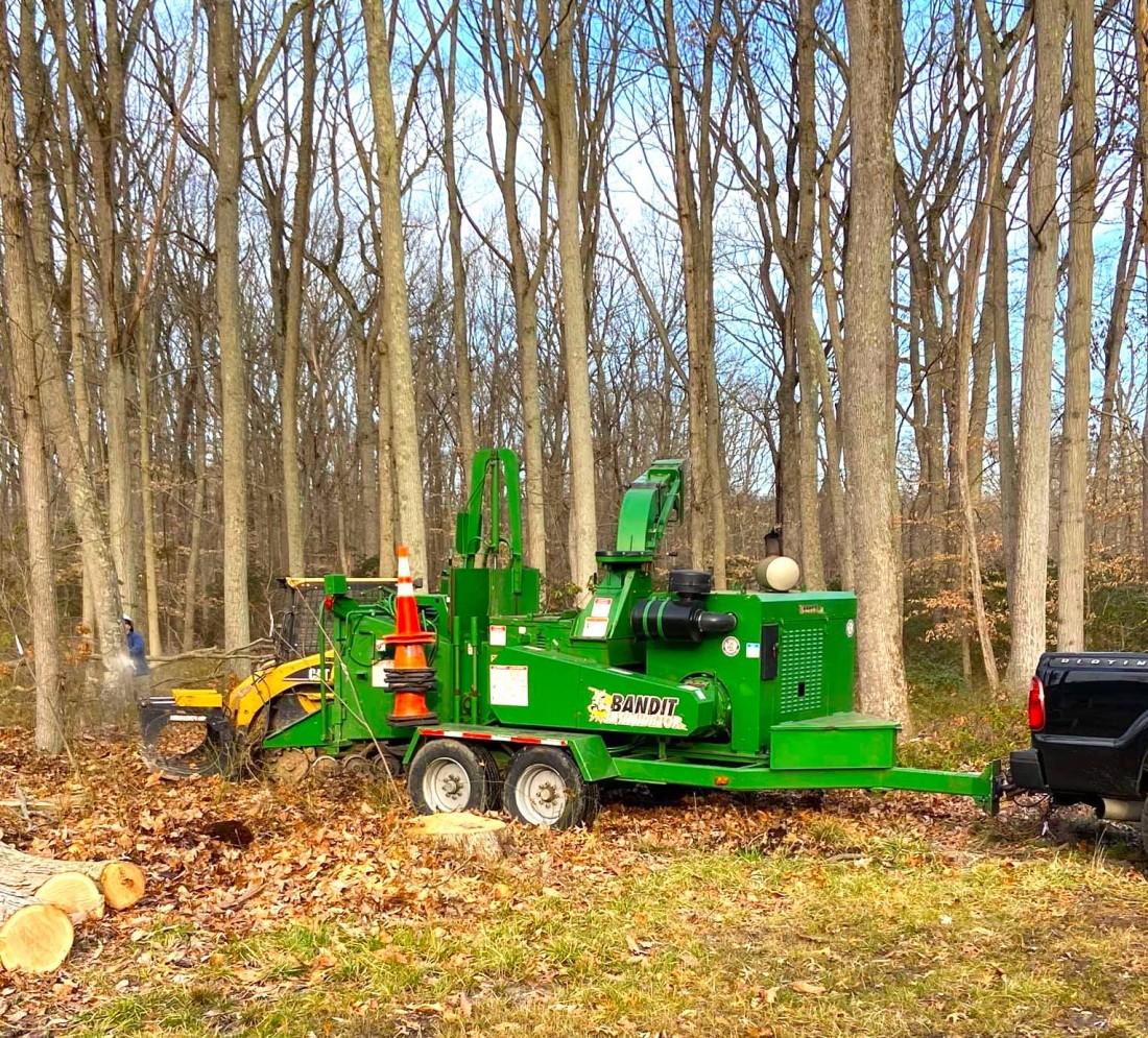 A photo of tree heavy equipment cutting a tree