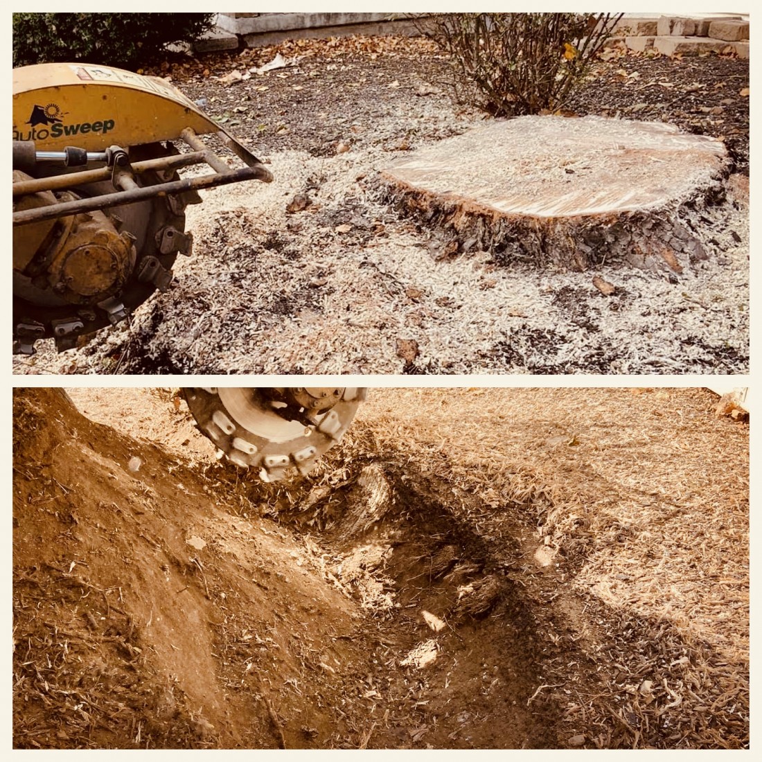 Stump Grinding Photo